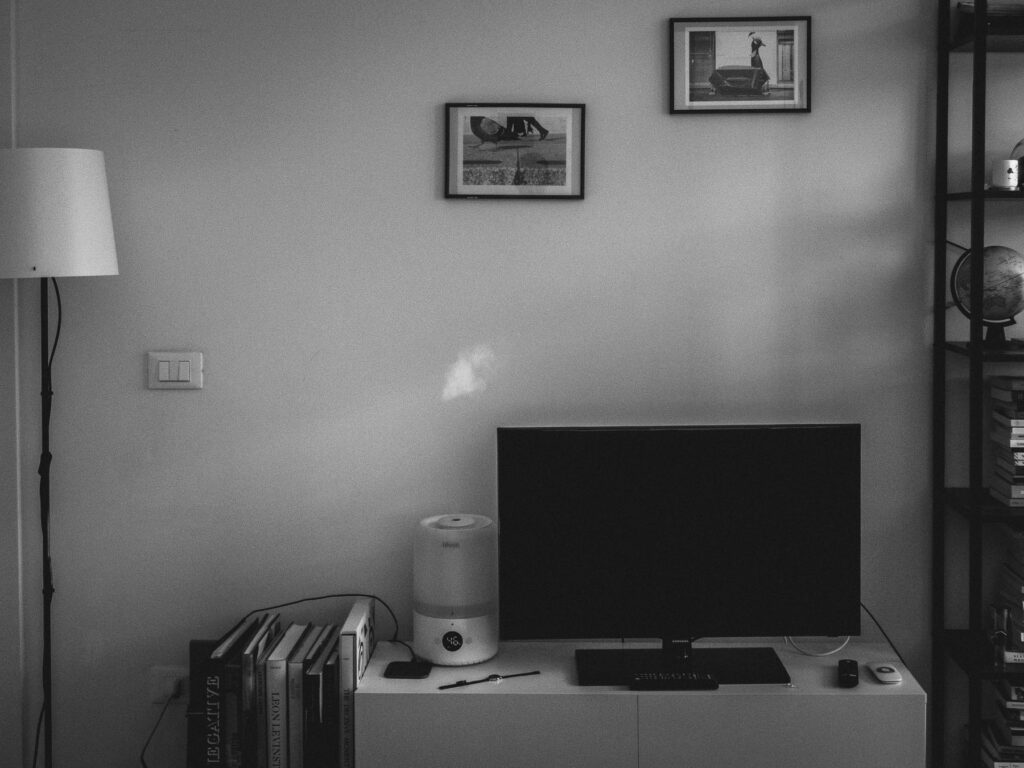 A grayscale image of a room featuring a lamp, a television on a white cabinet with a humidifier and books, and two framed pictures above. There's also a bookshelf to the right, in a tidy, minimalist setting.