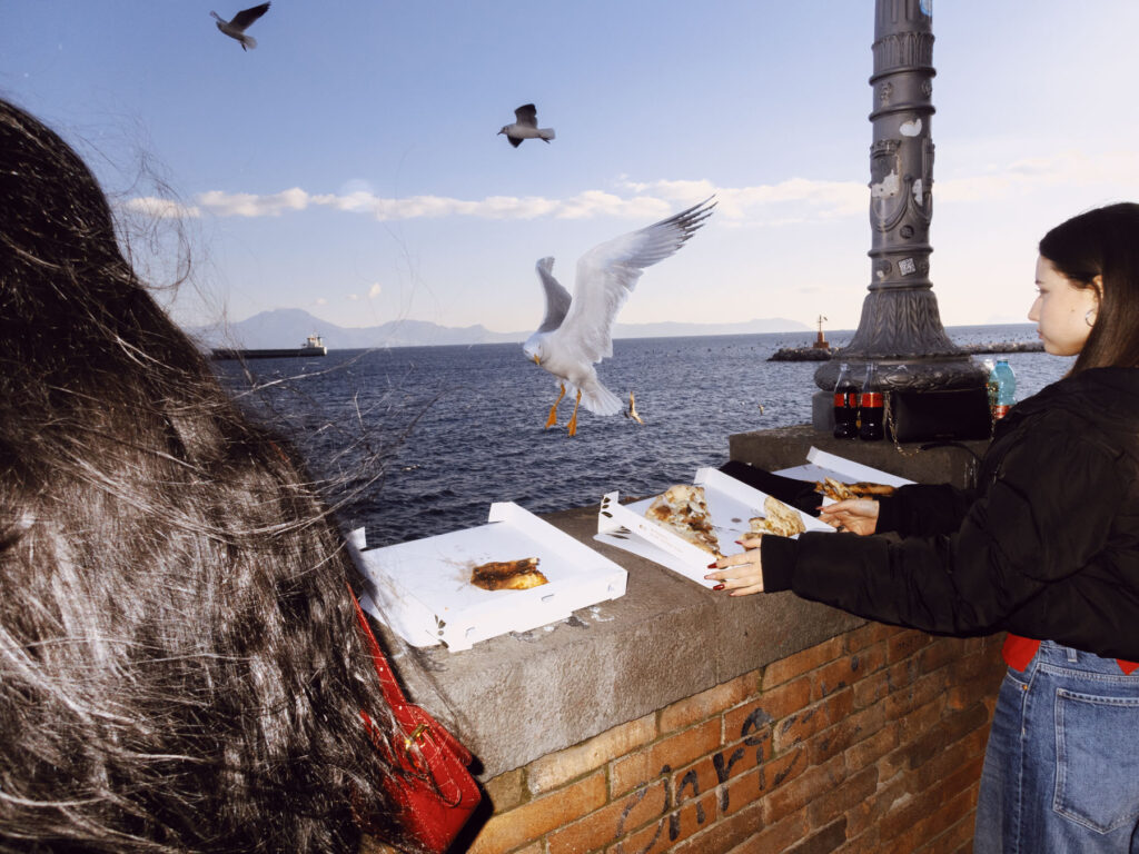 Scene capturing a moment by the seaside, where two women are eating pizza from open boxes placed on a brick ledge. A seagull swoops down dramatically, aiming for a slice of pizza, while other seagulls fly in the background.