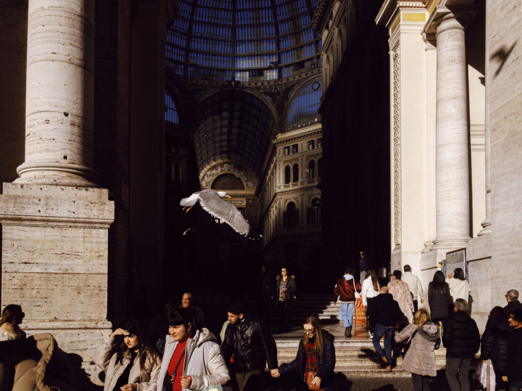 A scene capturing the entrance to a grand architectural gallery, framed by large stone columns and intricate details. In the foreground, a seagull glides mid-flight, adding motion to the otherwise bustling setting filled with pedestrians.